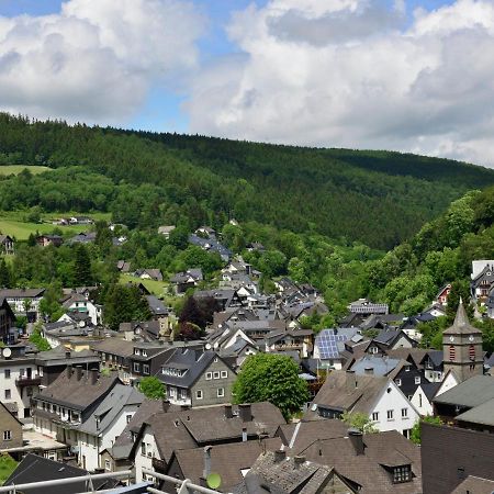 Beautiful Apartment In Willingen With Balcony Eksteriør billede
